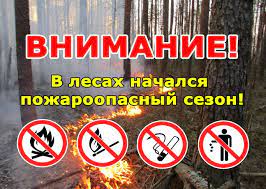 С 12 марта на территории Глубокского опытного лесхоза наступил пожароопасный период.